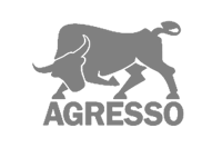 Agresso Agresso